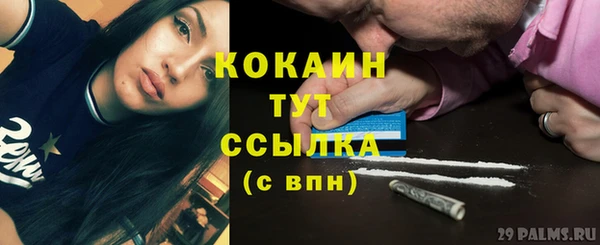 амф Верея
