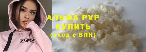 амф Верея