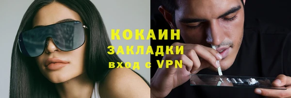 амф Верея
