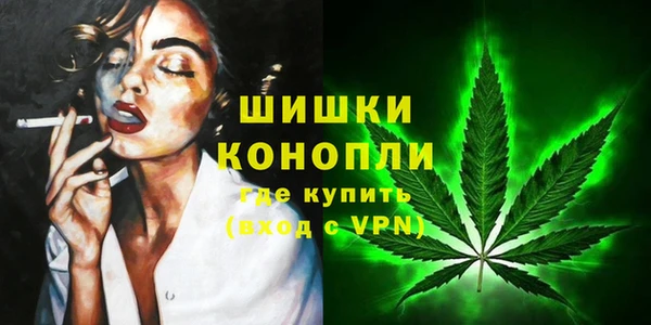 амф Верея