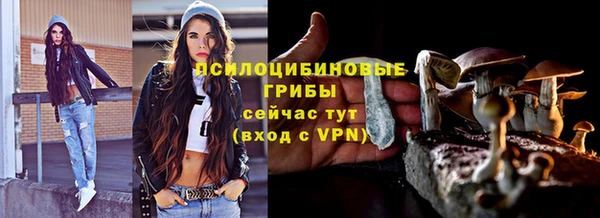 альфа пвп Верхнеуральск