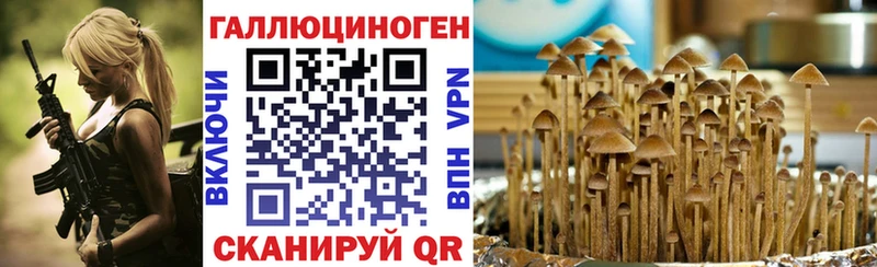 kraken ТОР  Юхнов  Галлюциногенные грибы MAGIC MUSHROOMS  магазин  наркотиков 